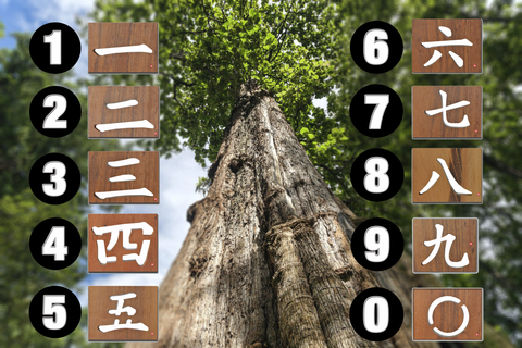 Number Translation Chart - Chinese, Japanese, Korean